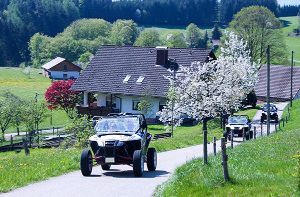 Buggy fahren in Meißenheim
