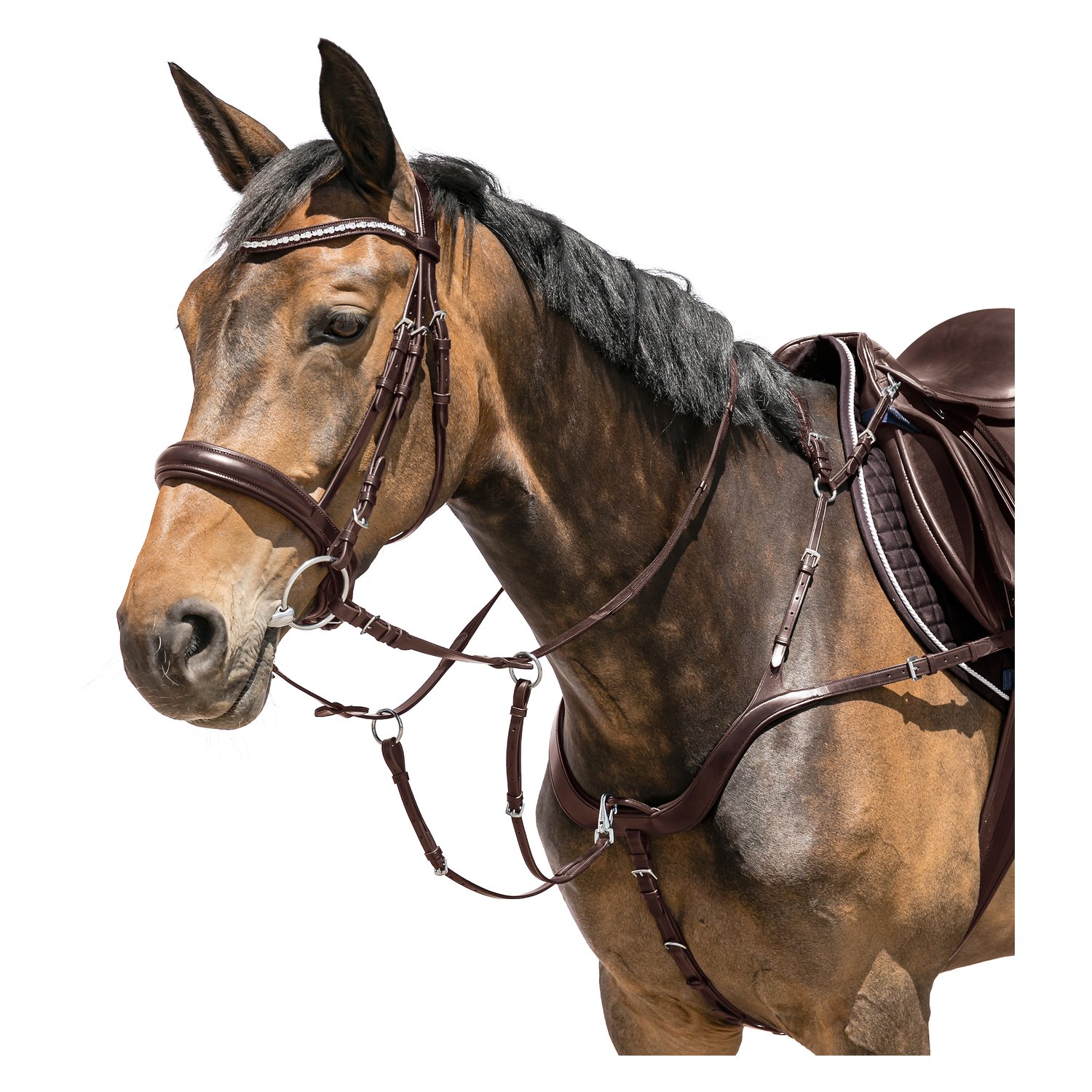 Cheval de Luxe Vorderzeug Anatomic  - havanna - WB