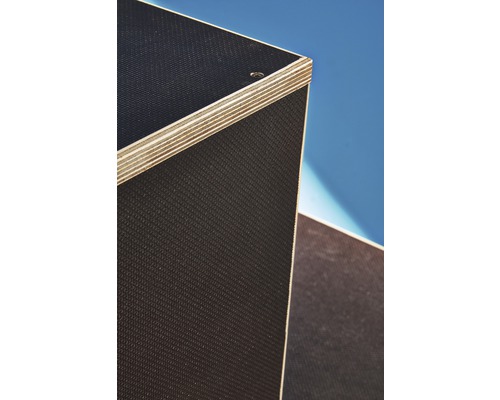 Vaste maat zeefdruk multiplex eucalyptus zeef/folie 1200x600x6,5 mm