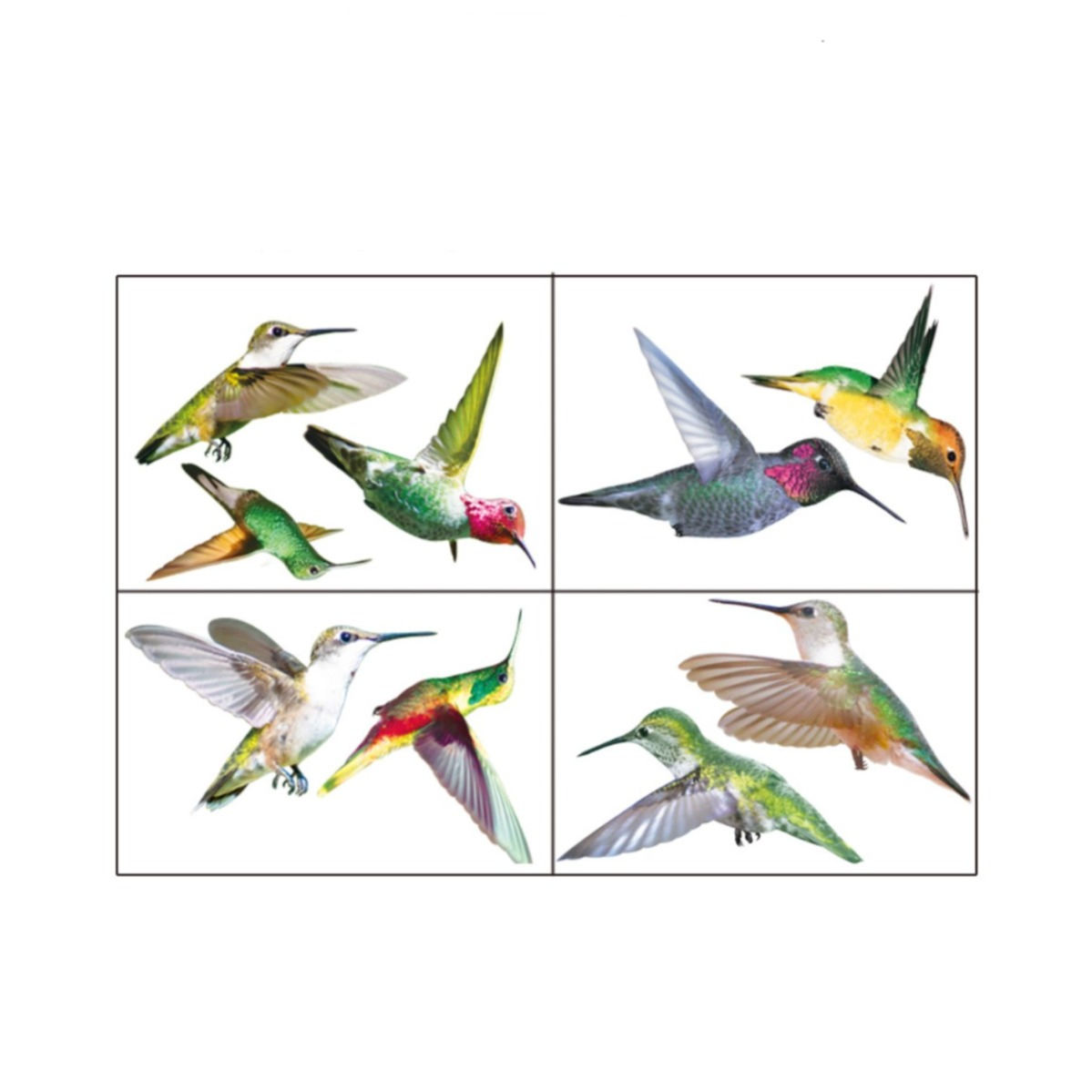 (9er Set) Vogel Schutz Fenster Sticker Anti-Kollisions Aufkleber Home Deko - Kolibri