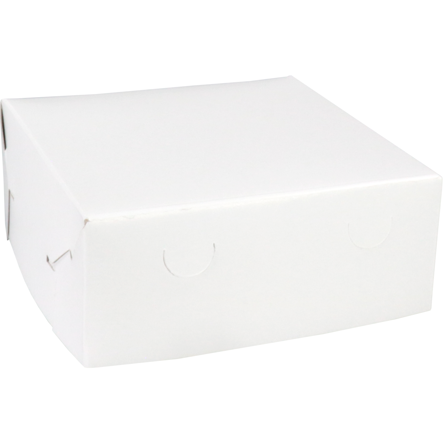 Zwanenhals/ verzenddoos, karton, 20x20x8cm, duplex, wit