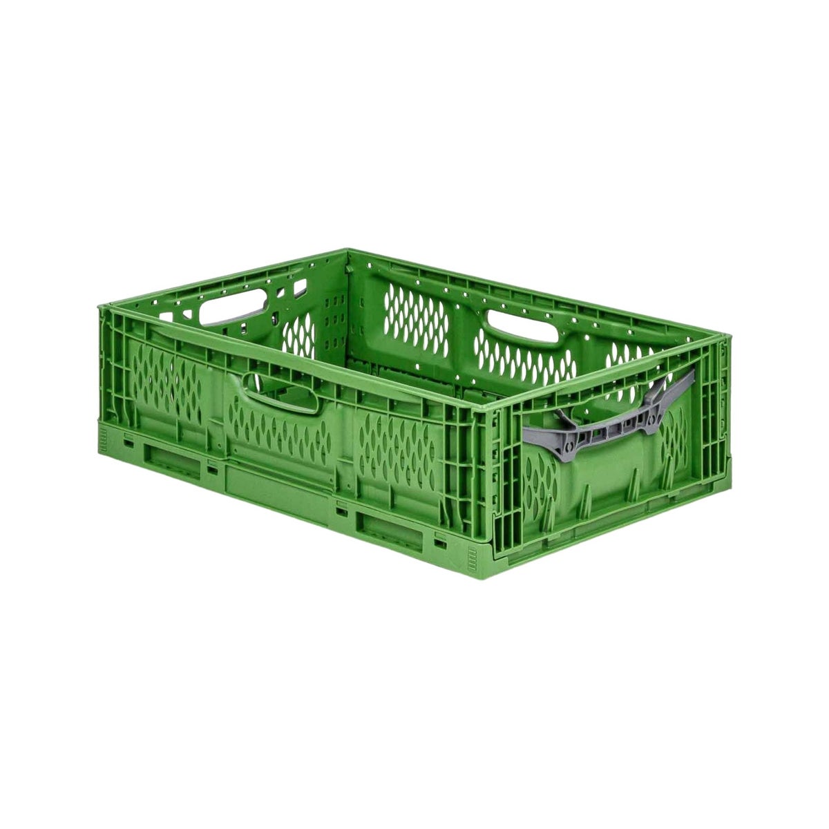 PROREGAL Stevige Professionele Vouwbox Chameleon in industriële kwaliteit HxBxD 18 x 40 x 60 cm 35 liter opvouwbaar stapelbaar