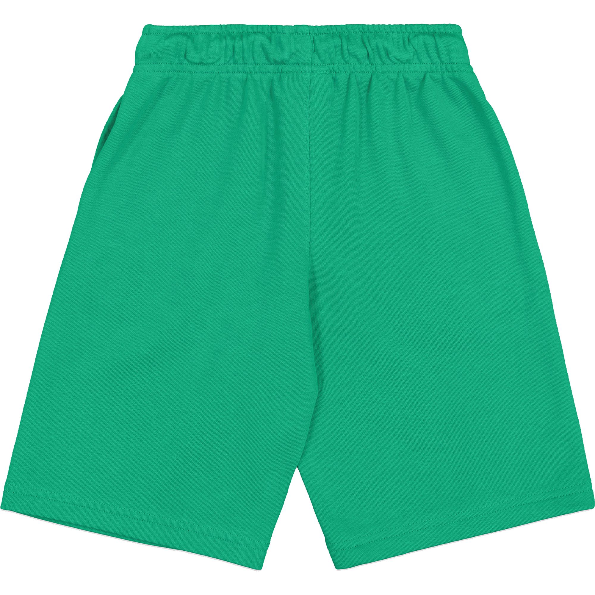 Champion Shorts Kinder grün