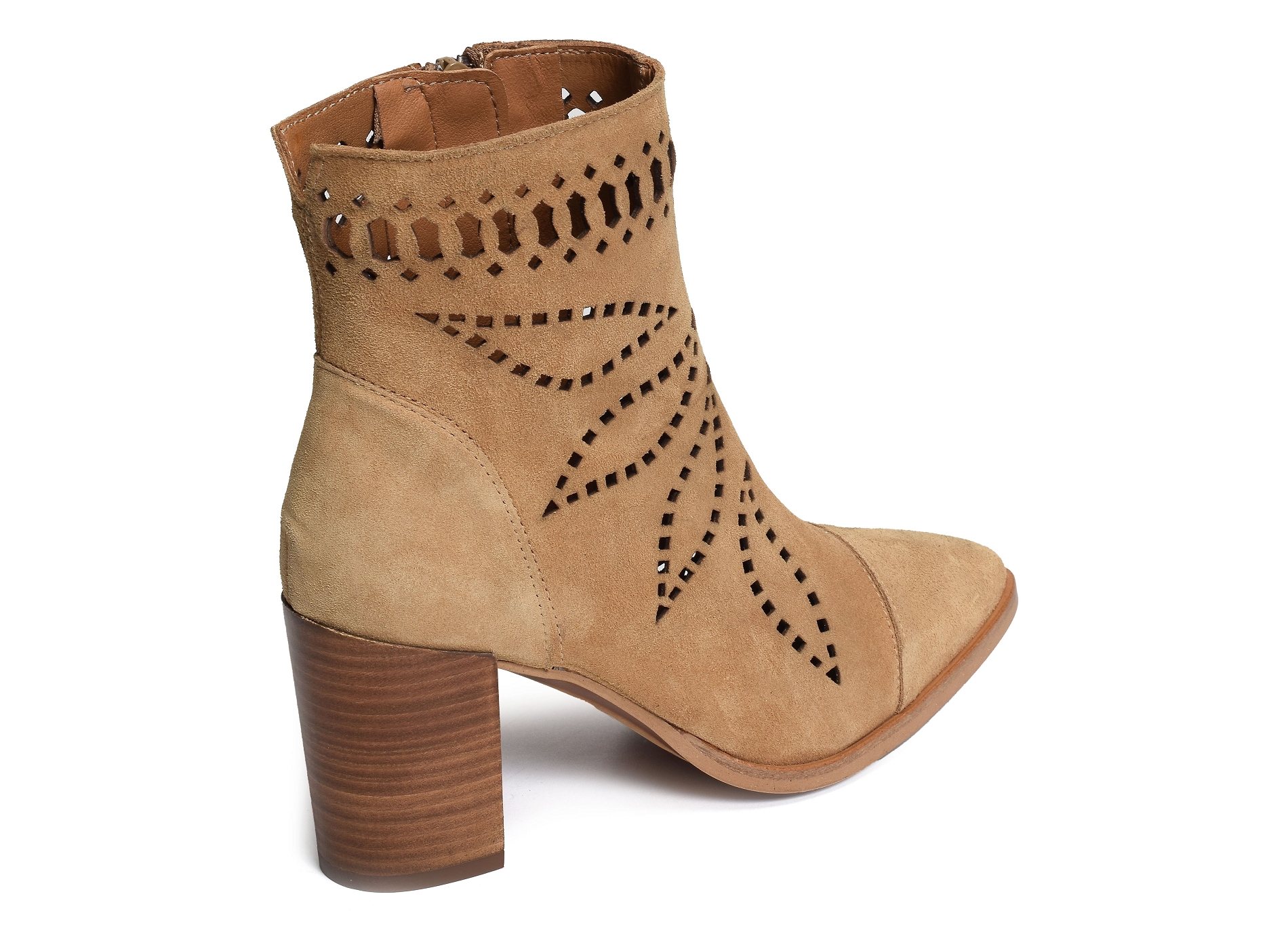 Senses 5031 camel