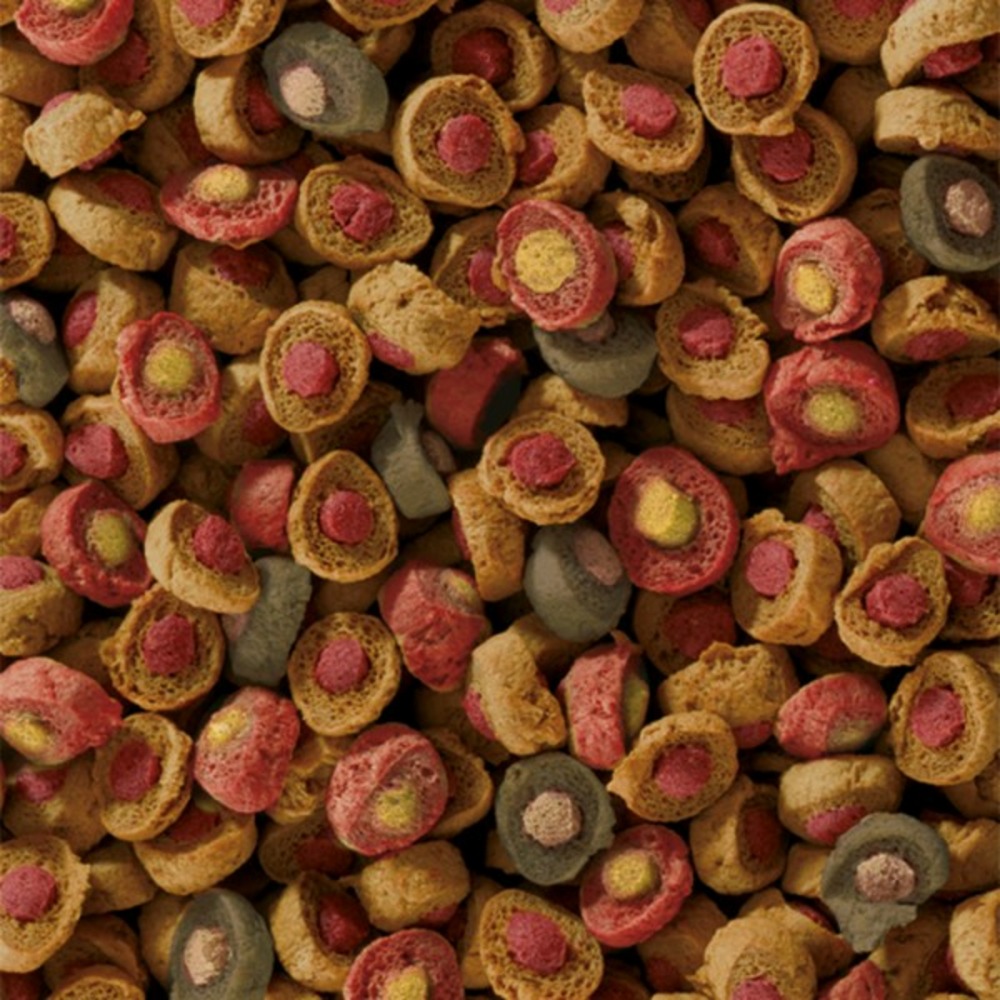 5kg sera koi all seasons probiotic