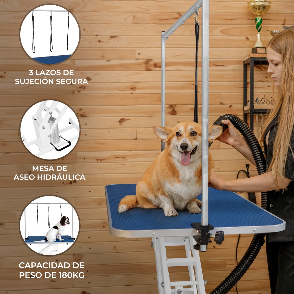 Mesa sanitária hidráulica branca - superfície azul