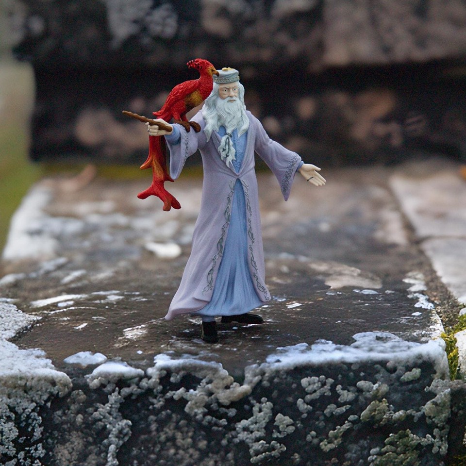Schleich - Harry Potter - Dumbledore & Fawkes (42637)