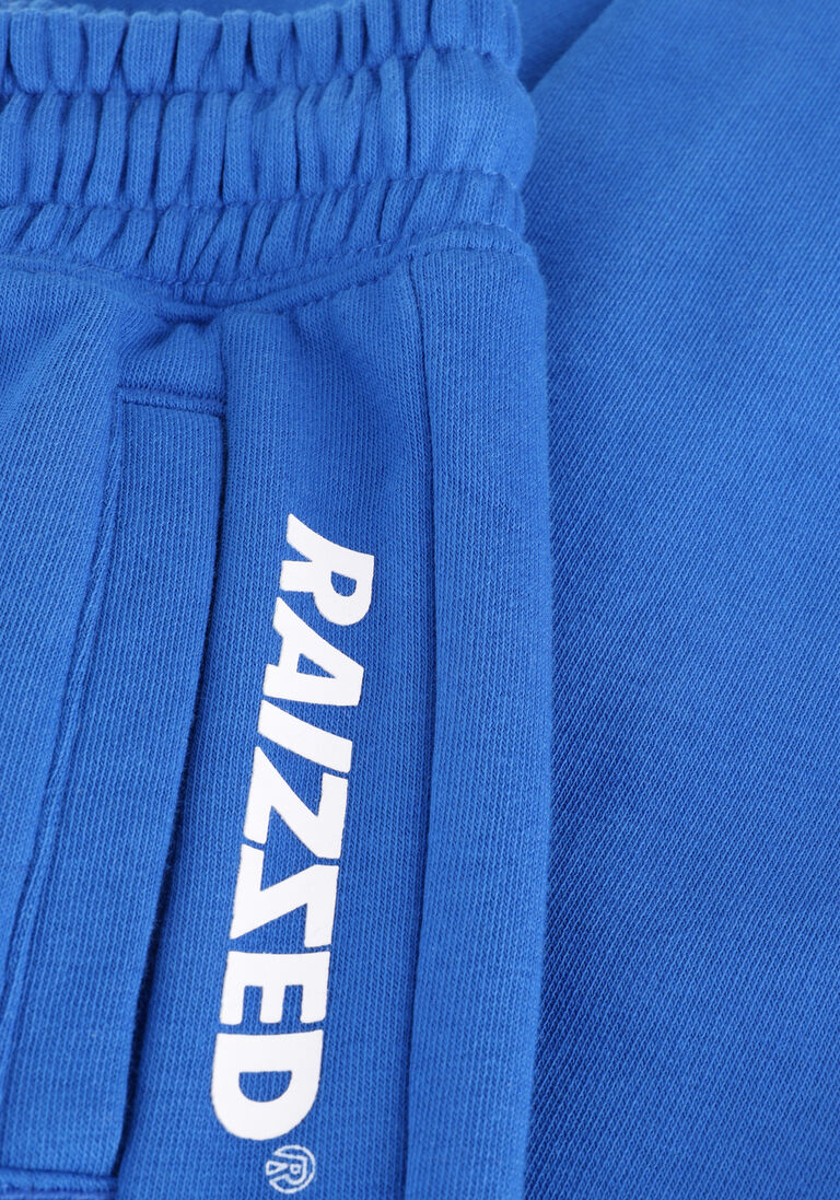 RAIZZED blauwe raizzed joggingbroek stephens