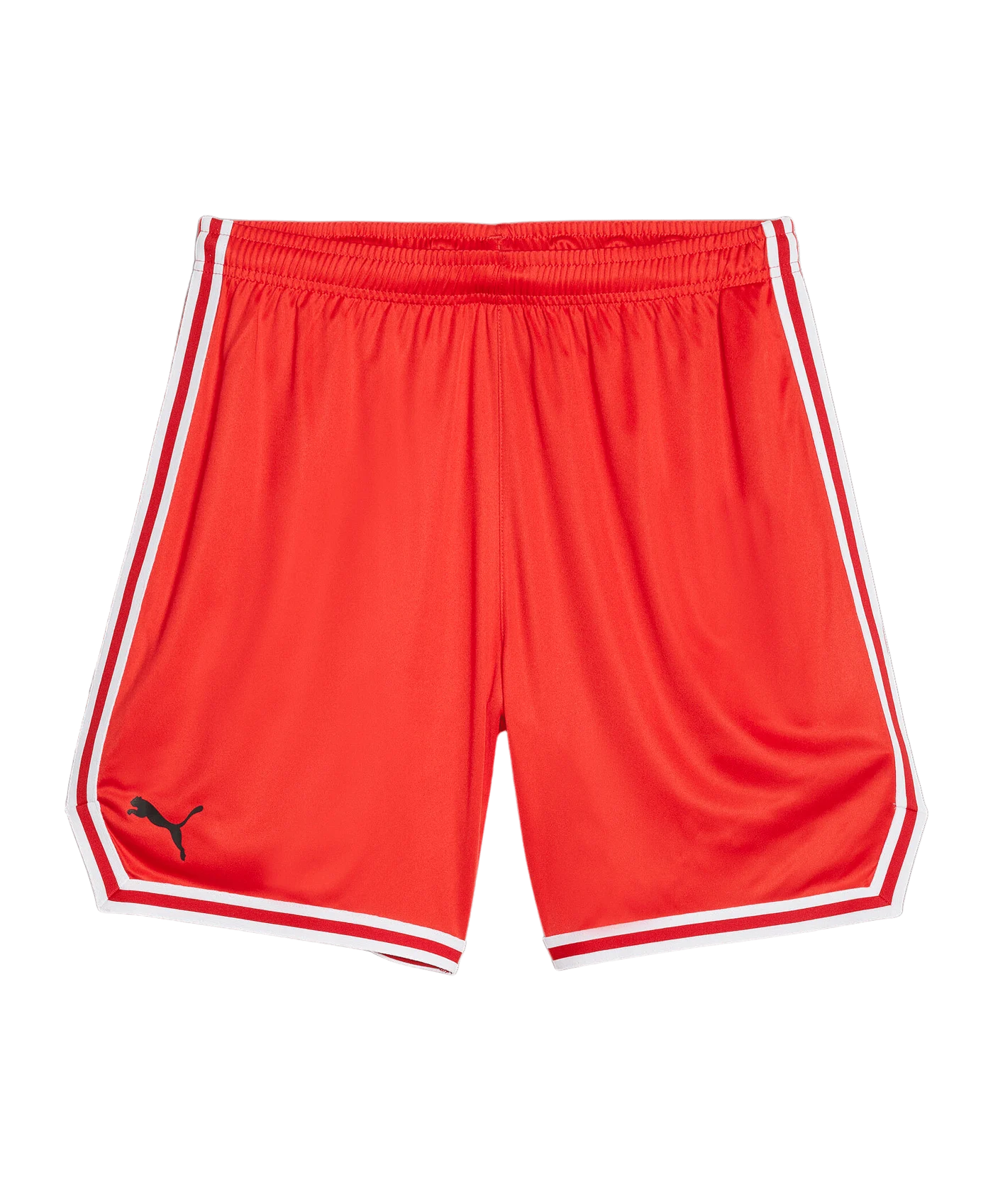 PUMA Hoops Team Game Short Rot F04