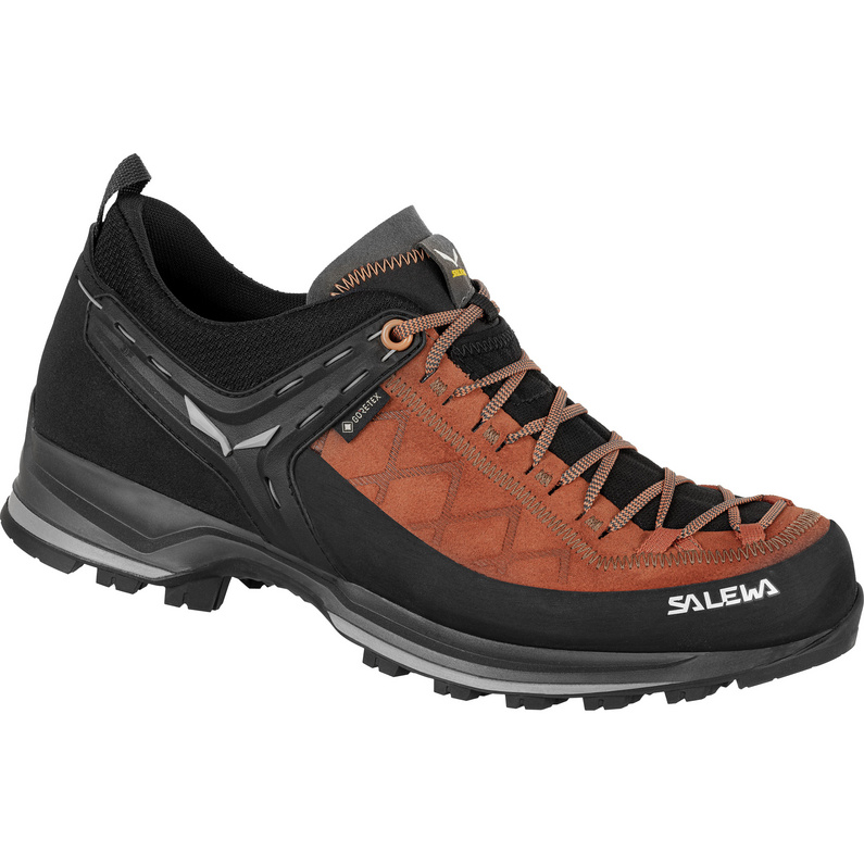Salewa Herren MTN Trainer 2 GTX Schuhe