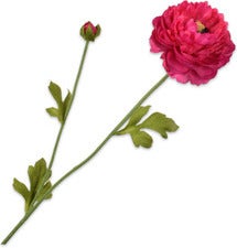 Silk-Ka kunstbloem Ranonkel paars 64 cm