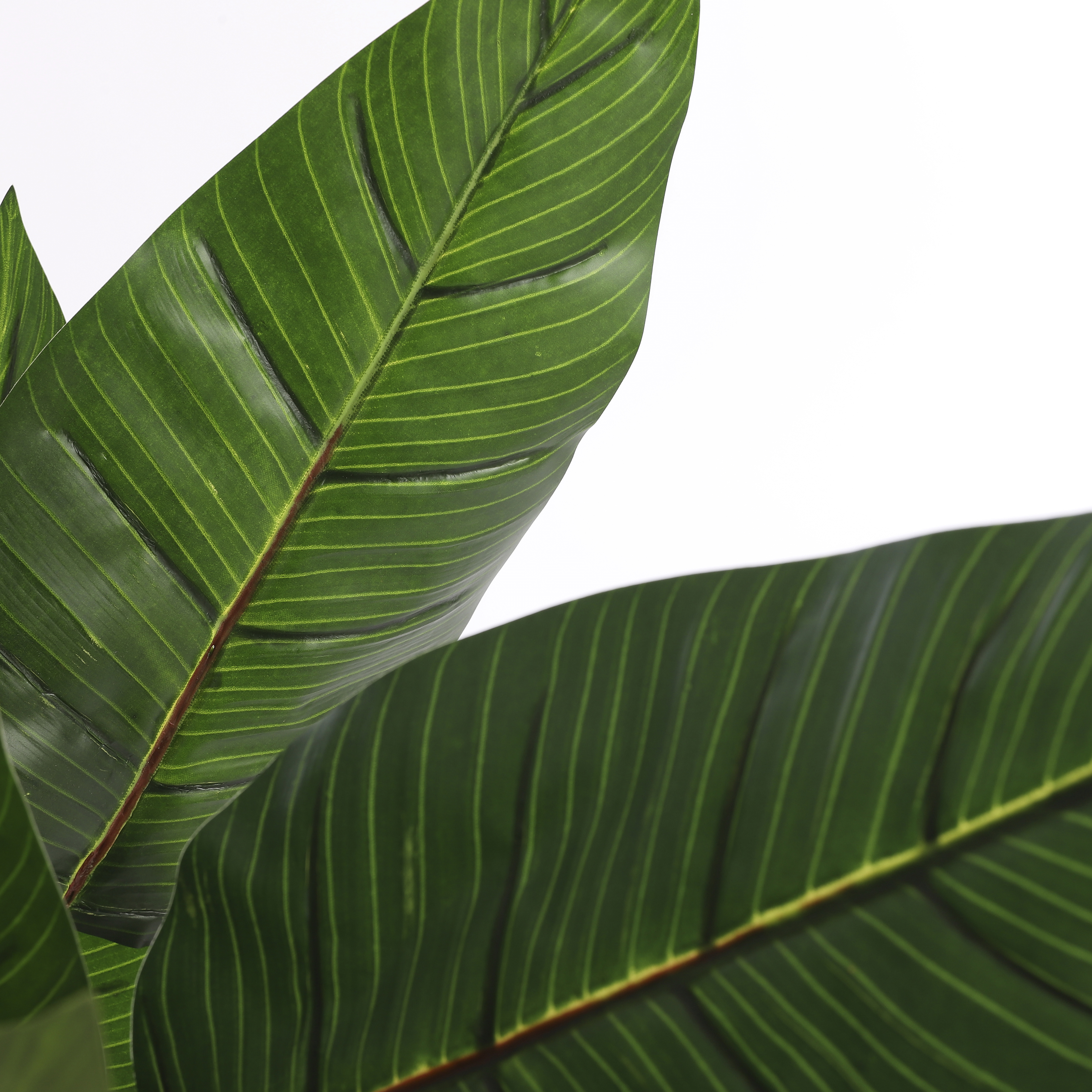Strelitzia artificielle vert en pot h110