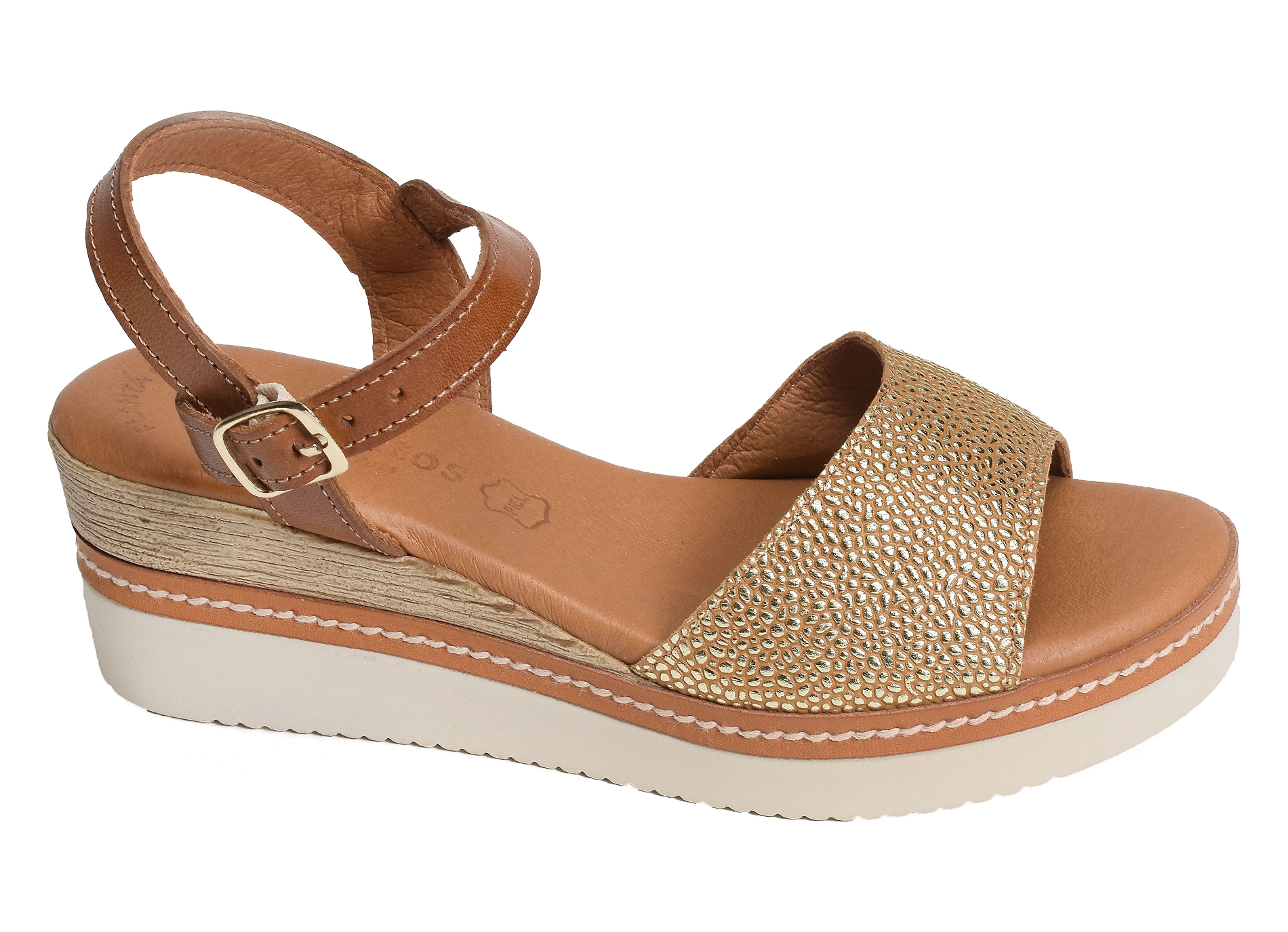 569 camel or