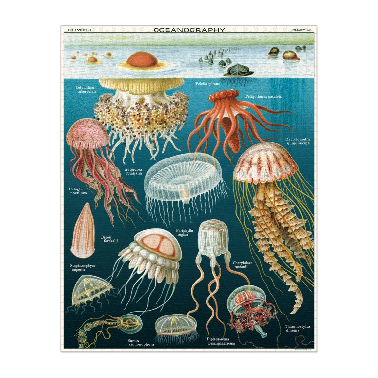 Cavallini Puzzle