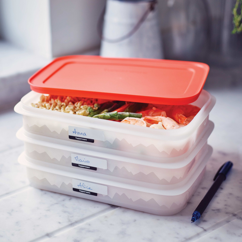 Eiskristall Stapelprofi Platzsparender Gefrierbehälter für Steaks, Schnitzel sowie Blätterteigstückchen, Stangenbohnen und vieles mehr