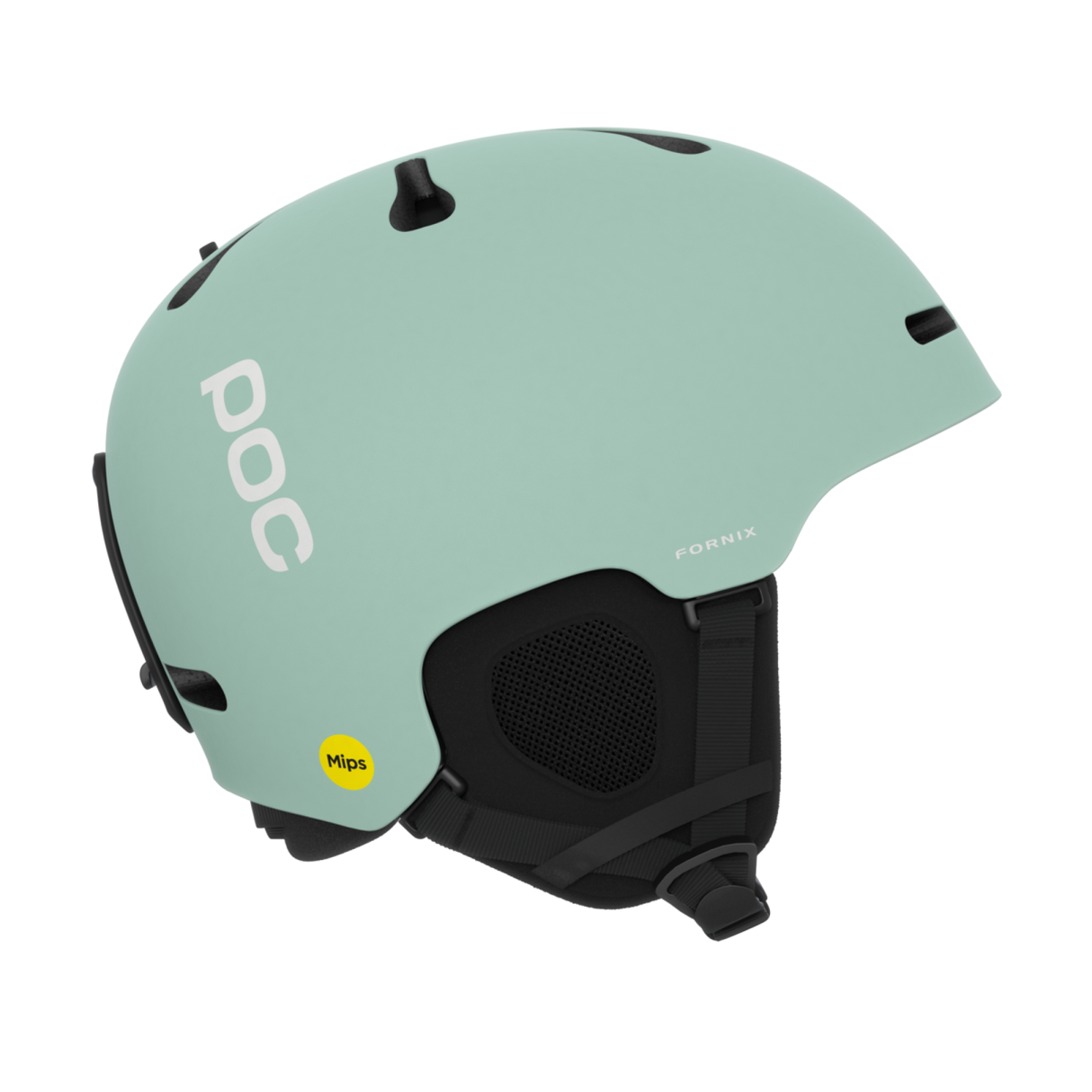 POC<br>Fornix MIPS