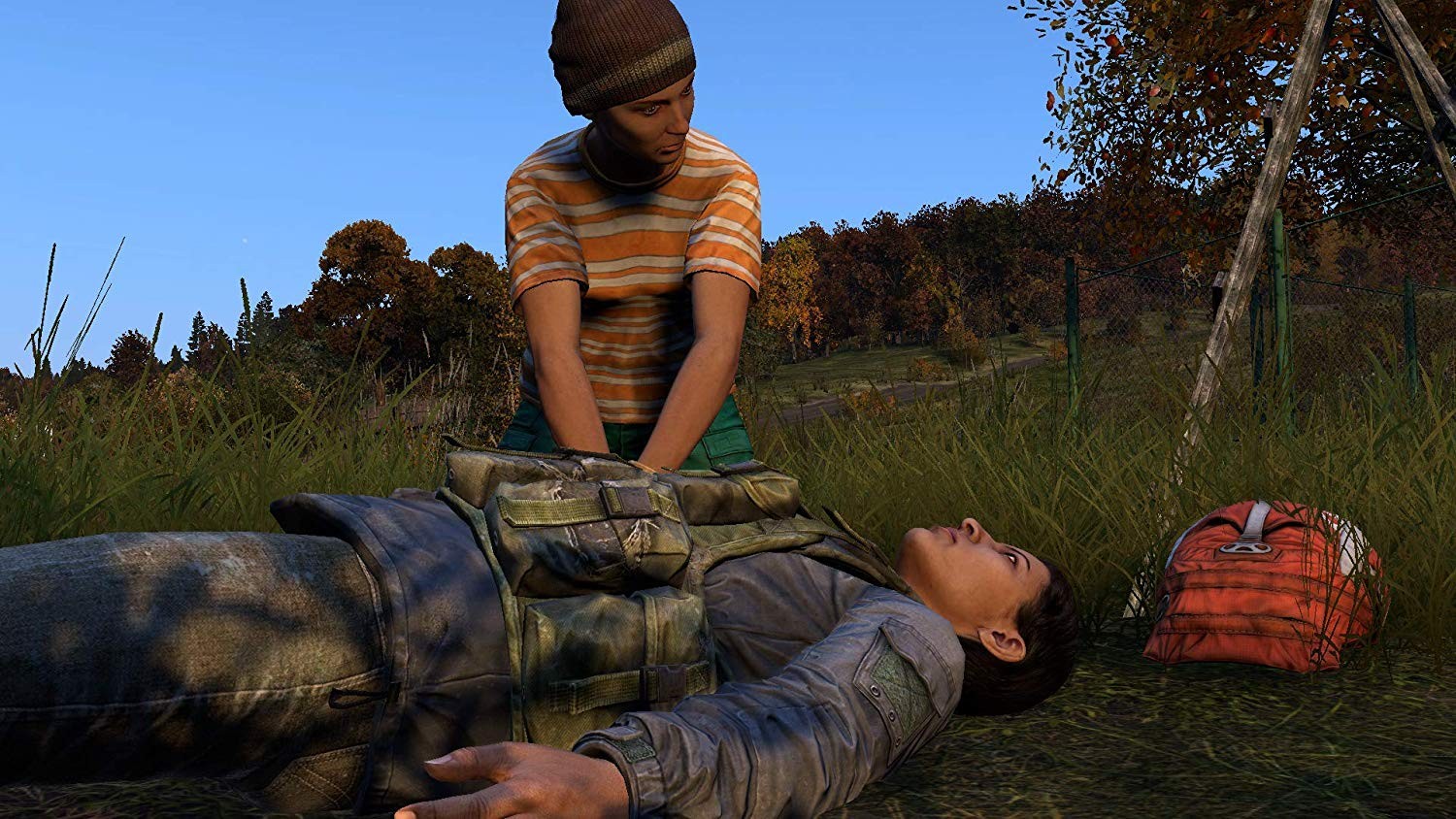 DayZ- PlayStation 4