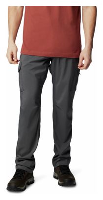 Pantalon de Randonnée Columbia Silver Ridge Gris