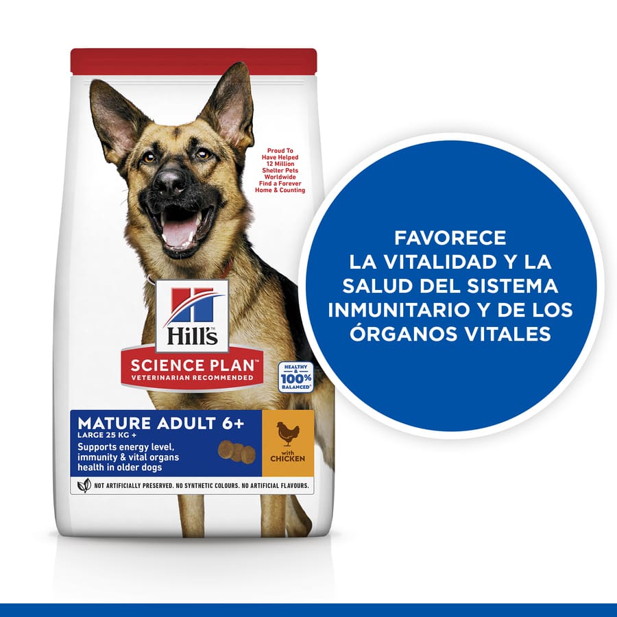 Ração Hill's Science Plan para cães adultos de porte grande com sabor de frango