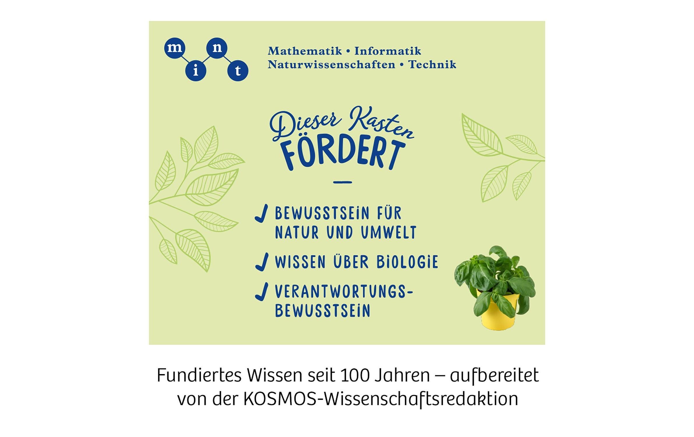 KräutergartenGewächshaus für die Fensterbank