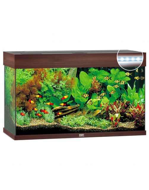 Juwel Aquarium Rio 125 Led 80x35x50 cm - Aquaria