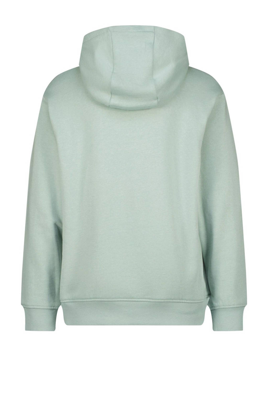 Raizzed hoodie grijs