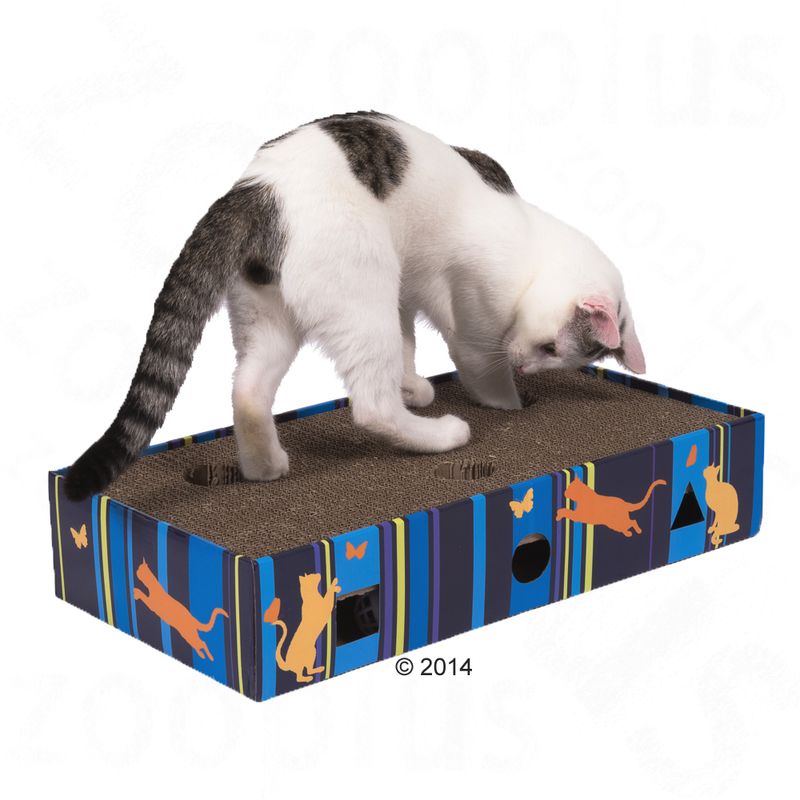 Griffoir Scratch & Play