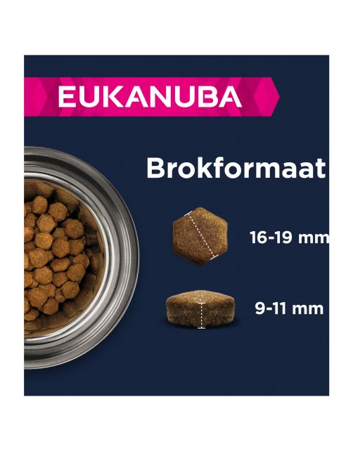 Eukanuba Adult Large Grain Free Zeevis - Hondenvoer