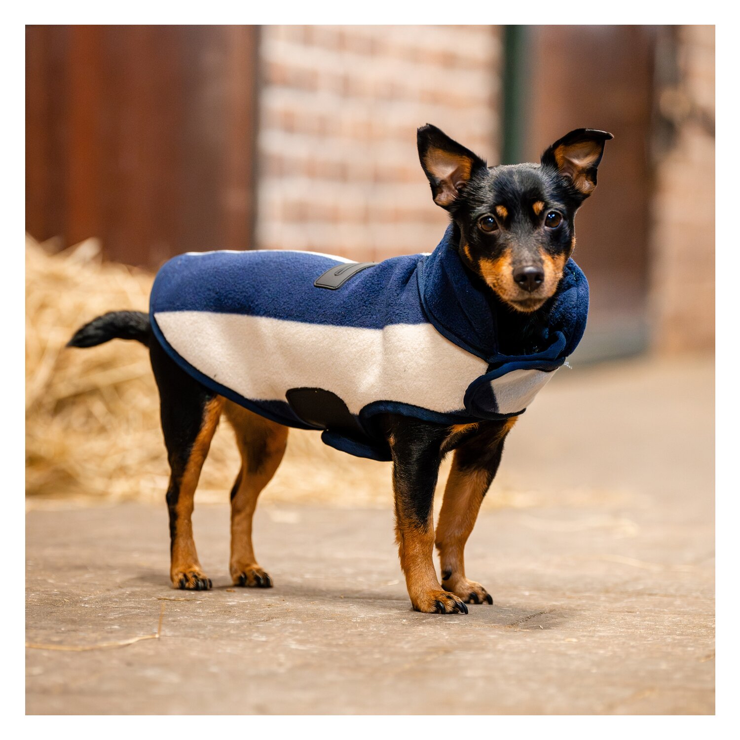 HORSEWARE Hundemantel Fleece  - whitney/navy