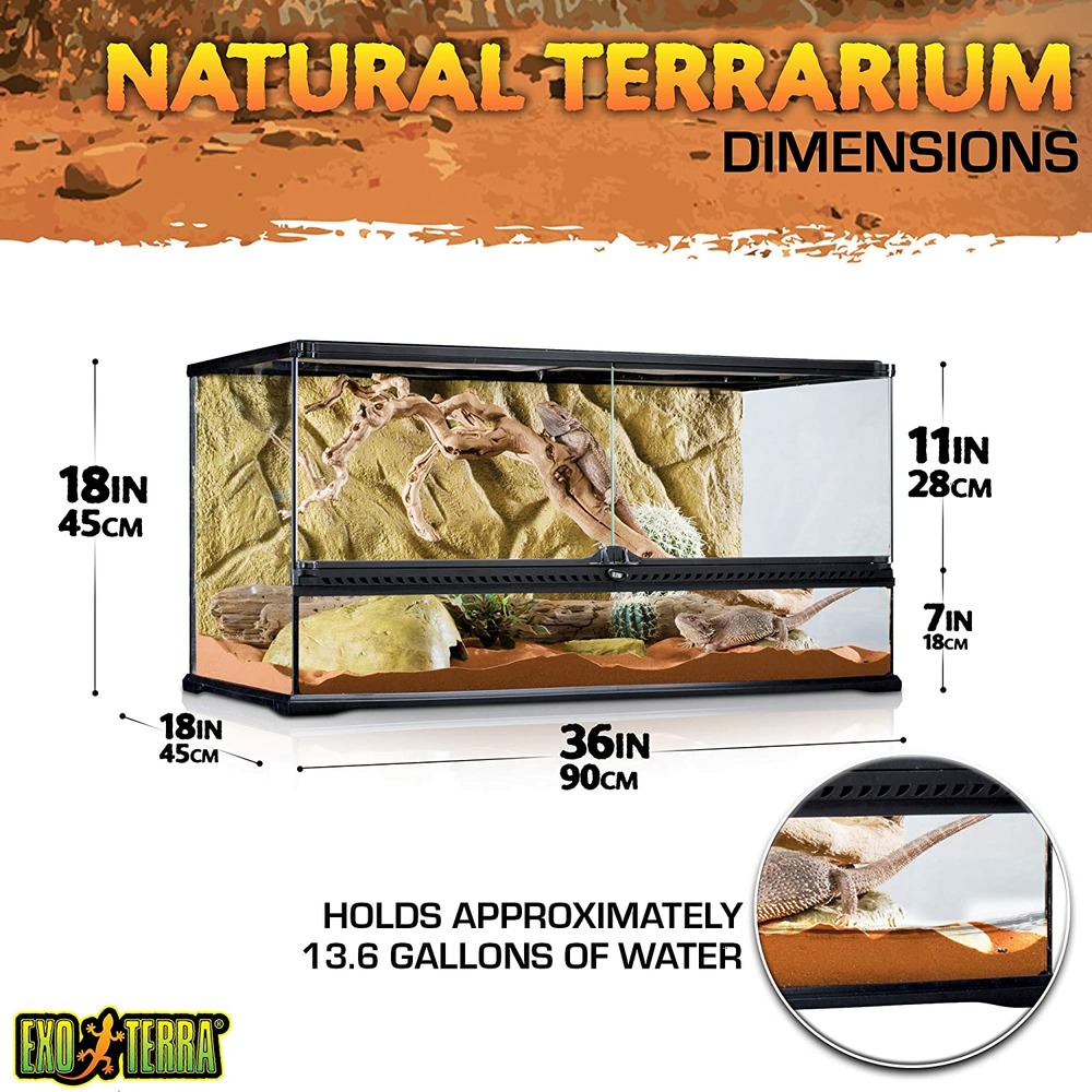Terrarium en Verre pour Reptiles et Amphibiens/paludarium s/x-tall