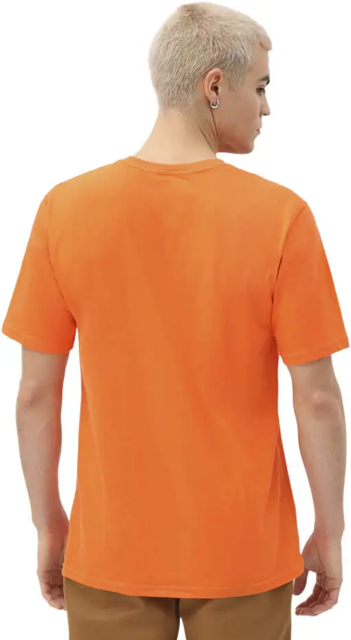 Dickies Horseshoe T-Shirt | SkatePro