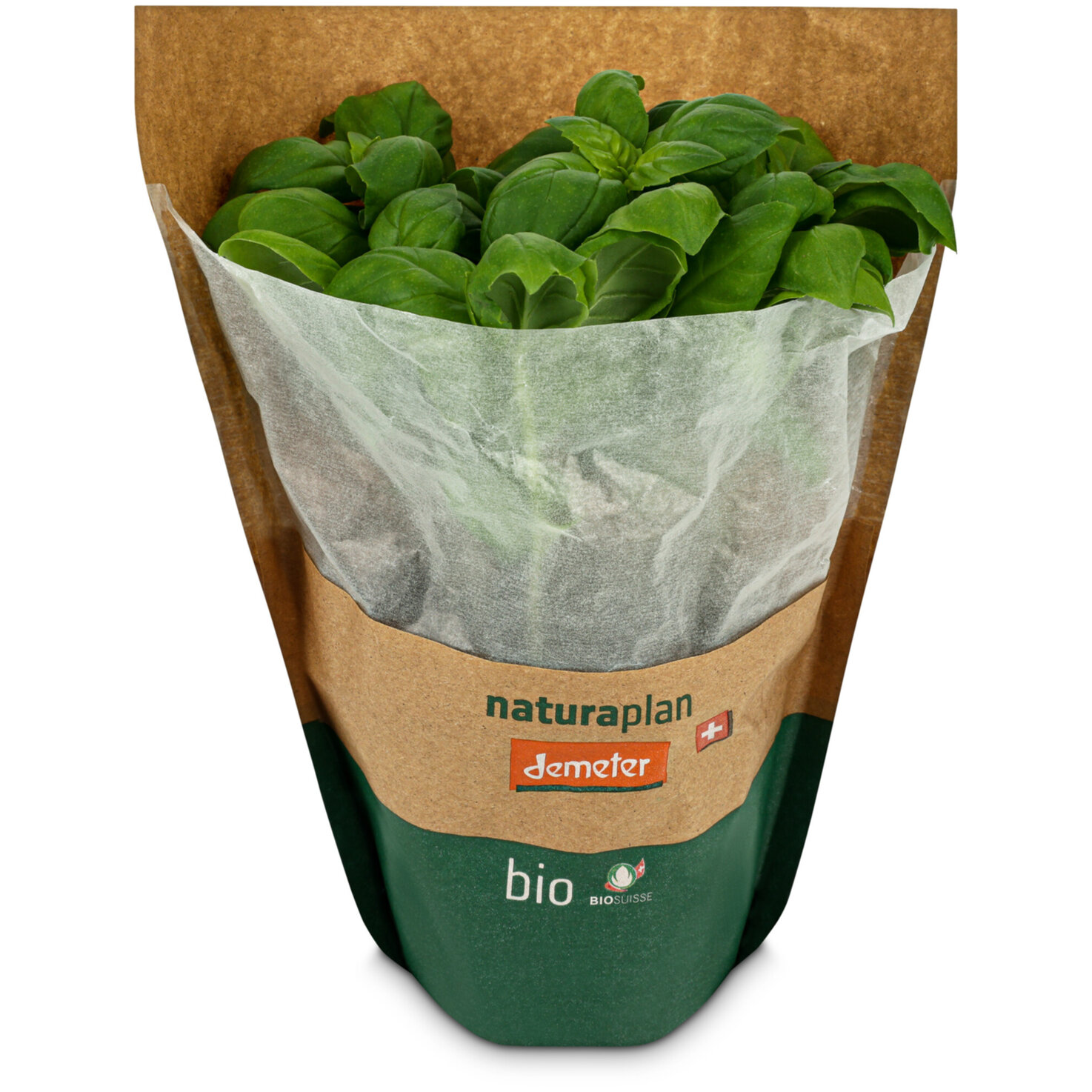 Naturaplan Bio Demeter Basilikum im Topf -