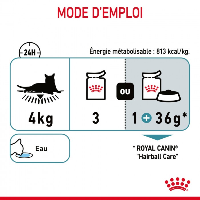 ROYAL CANIN Hairball Care en Gelée – Pâtée pour chat