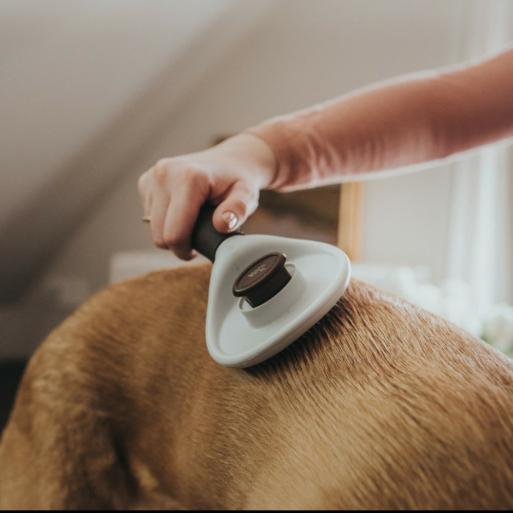 Brosse démêlante auto-nettoyant