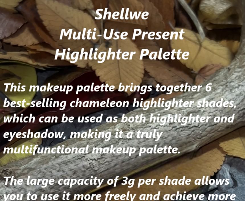 SHELLWE MAKEUP - Multifunctionele Present Highlighter Palette