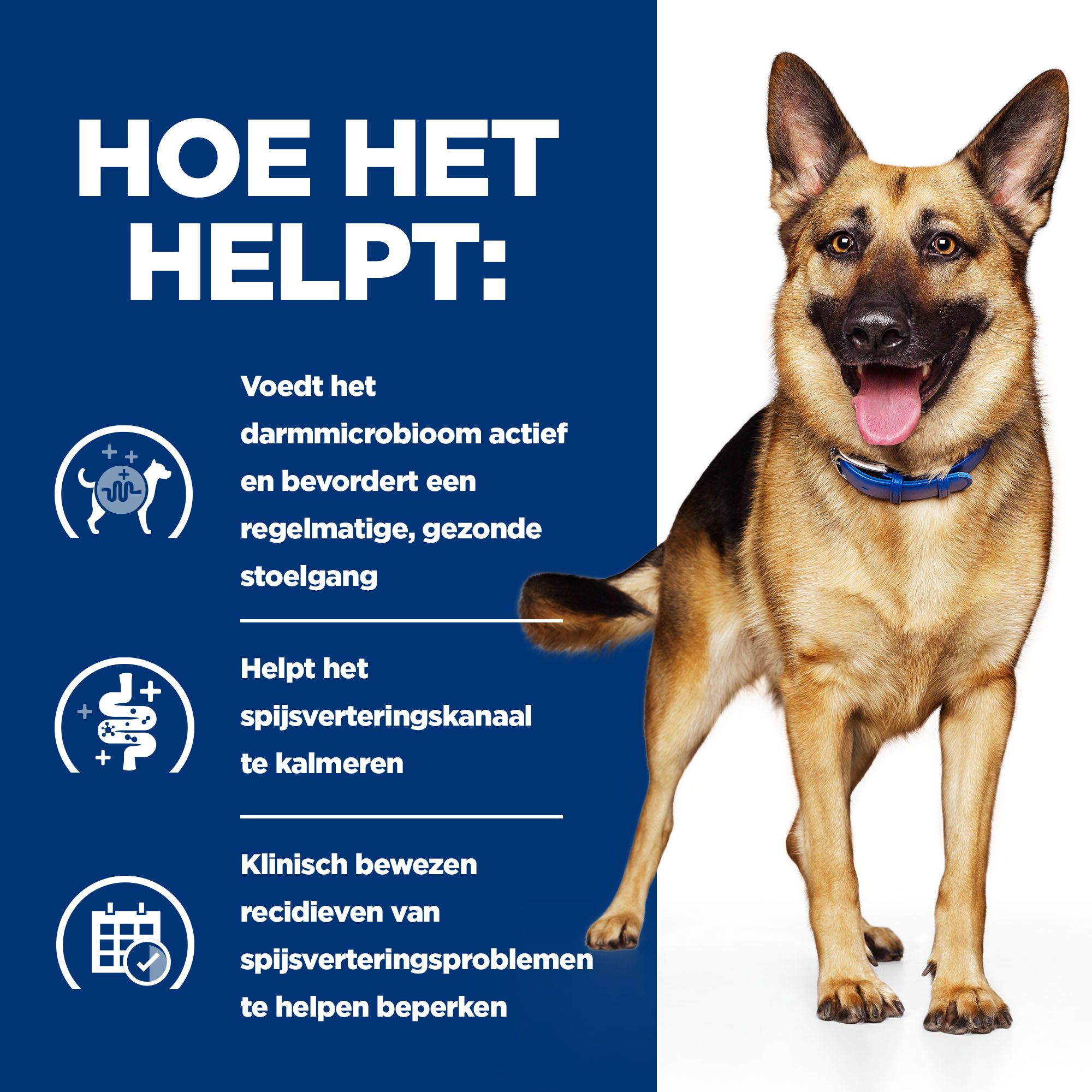 Hill's Prescription Diet - Gastrointestinal Biome - Stoofpotje Hondenvoer