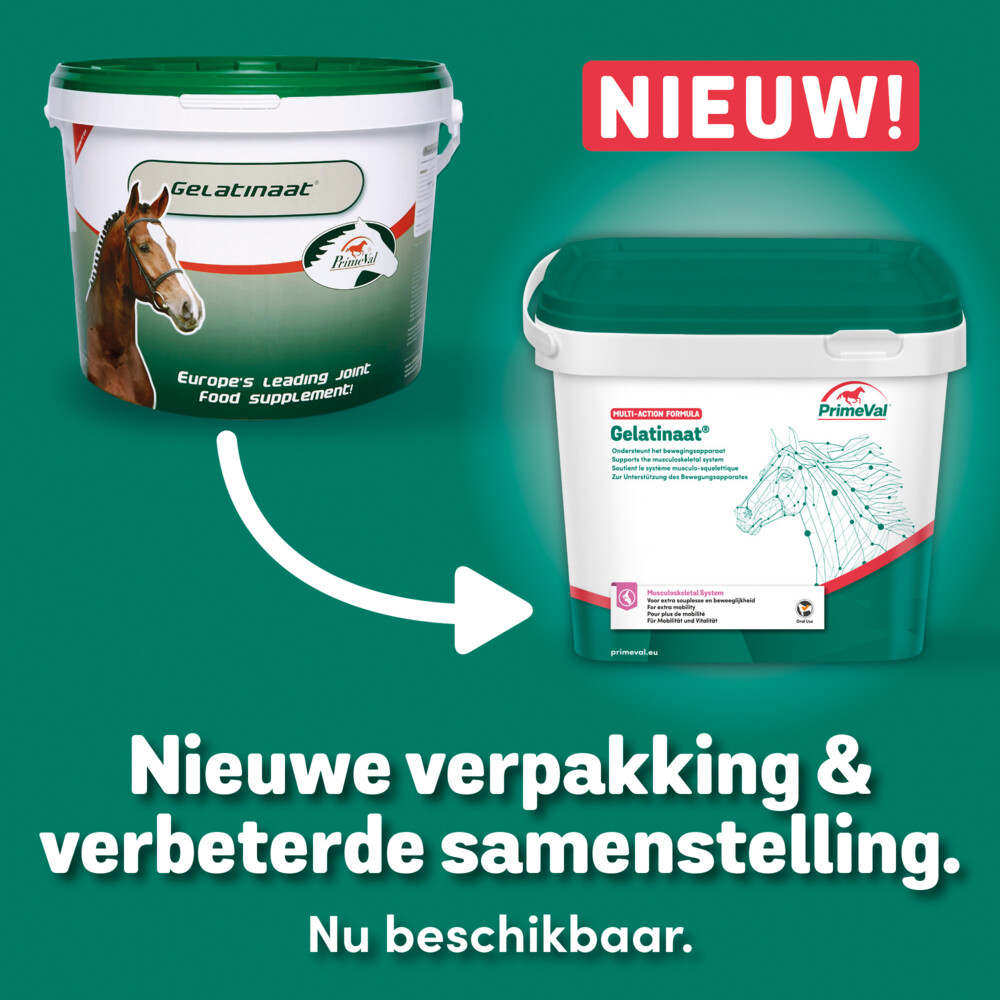 PrimeVal Gelatinaat Paard5 kg