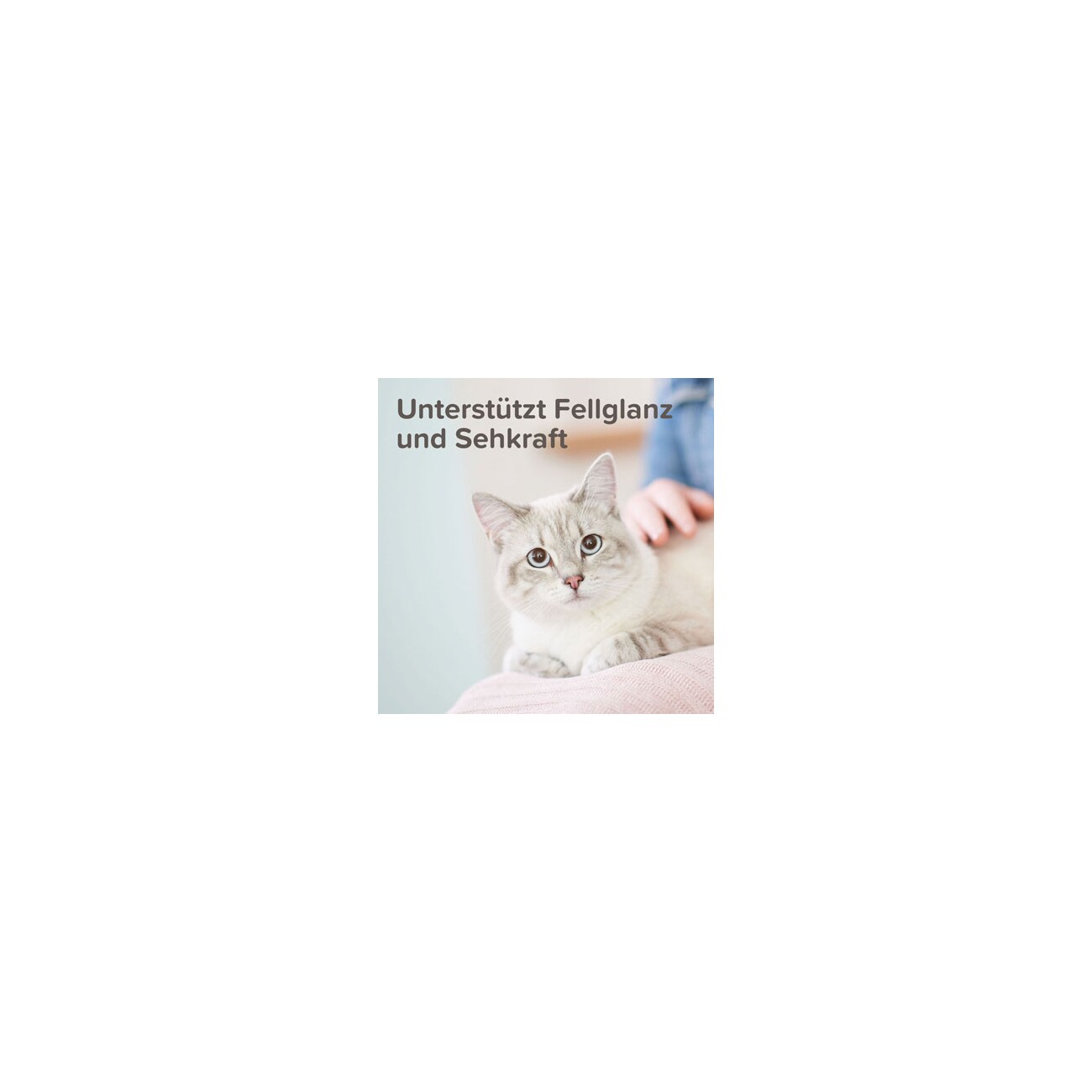 Beaphar Lachsöl Paste Katze 100g