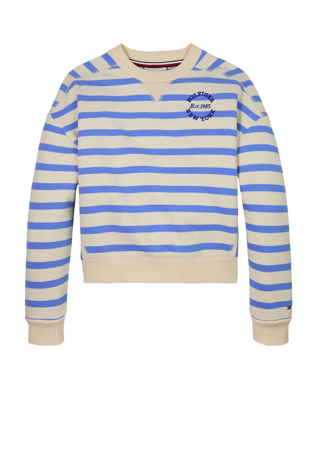 Tommy Hilfiger sweater blauw