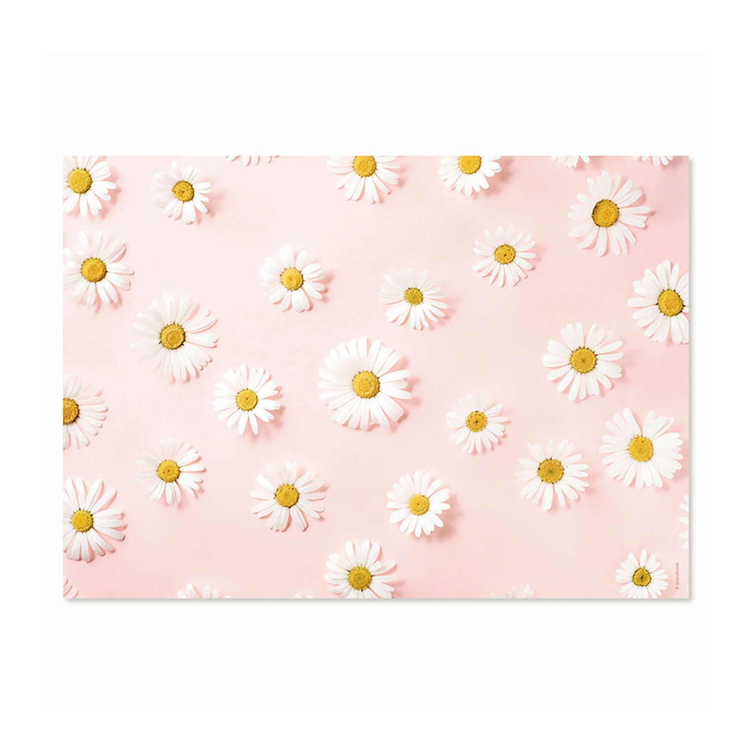 Papiertischset Daisy