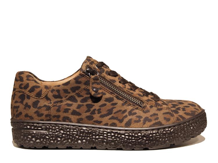 Hartjes Phil Shoe 162.1401 Bruin Combi
