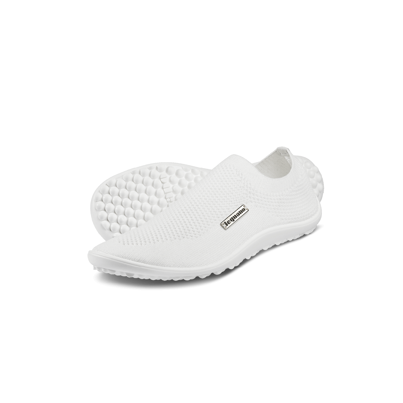 scio white