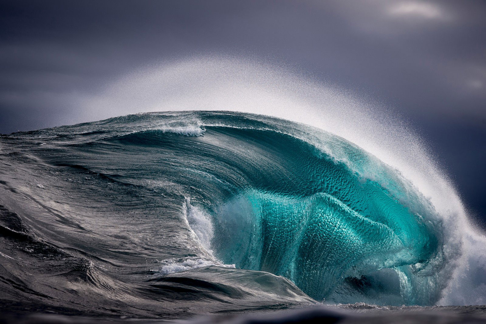 Sea Monster by Ray Collins - Limited Edition. Edition of: 150. Signed.