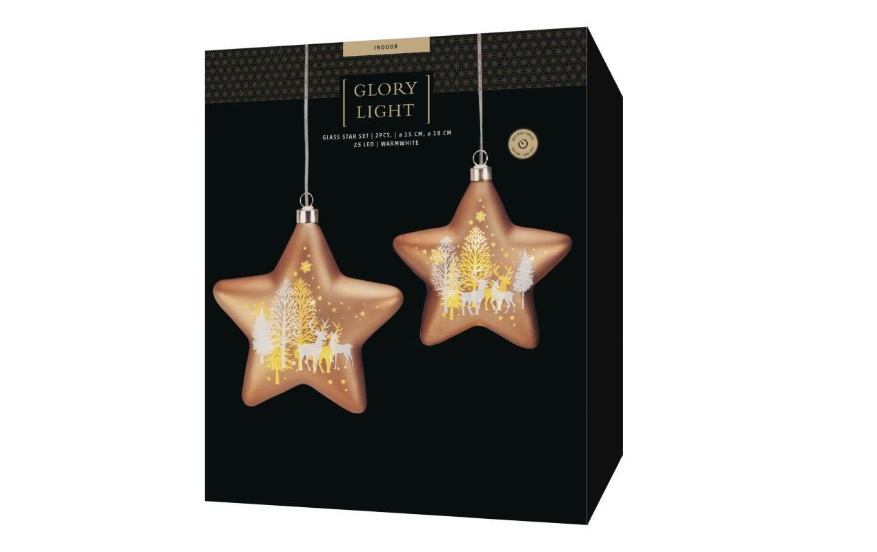 STT LED Dekofigur »Glass Star Set 2 Stk.« 2 Stk. Warmweiss