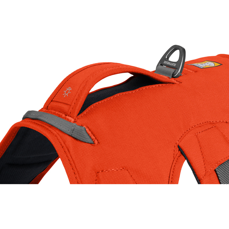 Ruffwear Web Master Hundegeschirr