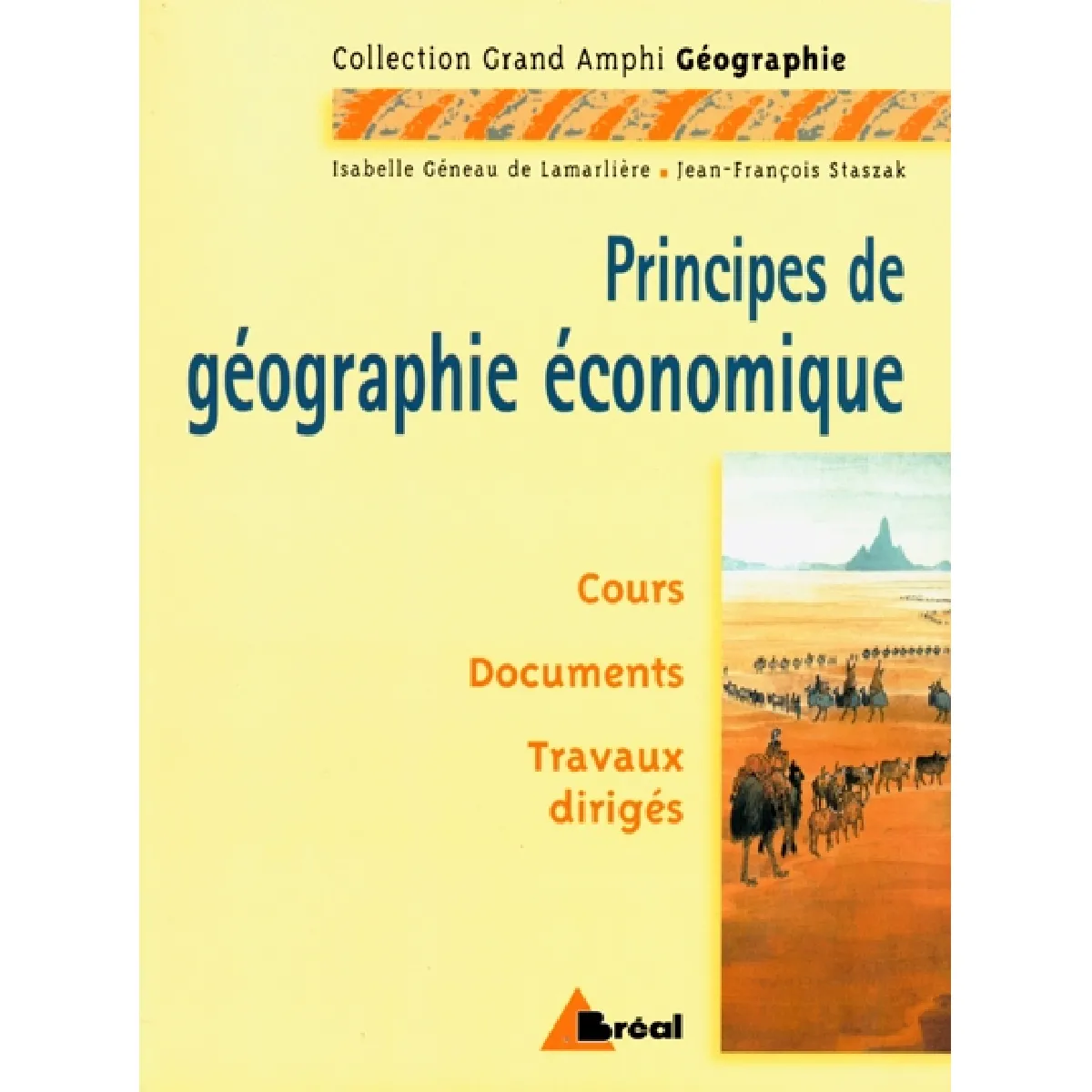 Principes de géographie économique, premier et second cycles universitaires : cours, documents, travaux dirigés · Occasion