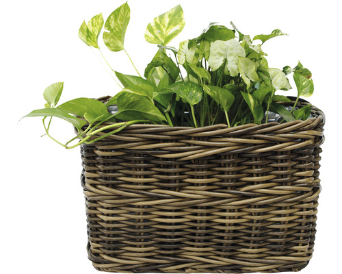 Lafiora polyrotan mand, 40 x 26 x 25 cm, bruin