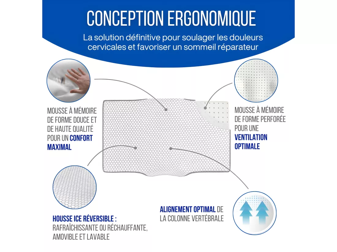 Oreiller Ergonomique Anti-Rides avec Taie d'Oreiller en Soie - Extra Grande - 65x42x10 - ERGO