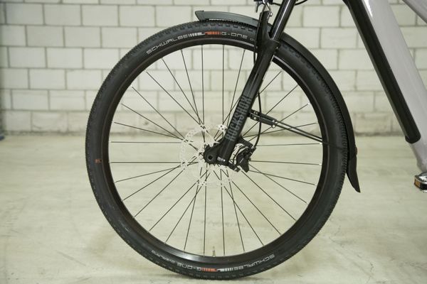 eCOMFORT DS NEO  Crossover E-Bike  ash  47 CM