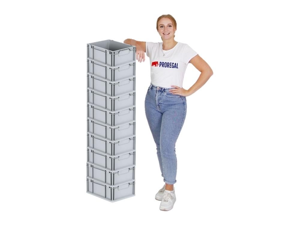 PROREGAL Eurobox Nextgen Economy met handgrepen, gesloten, HxBxD 17 x 30 x 40 cm, 16 liter Euro container, transportbox, stapelbare container